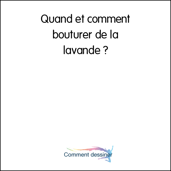 Quand et comment bouturer de la lavande Quand et comment bouturer de la lavande